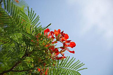 《巴比伦的陨落》1月25日直播 公布新情报和实机演示